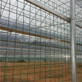 PVC hàng rào dây lưới Holland bọc